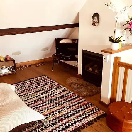 Cozy & Spacious Duplex With An Amazing Terrace Antverpy