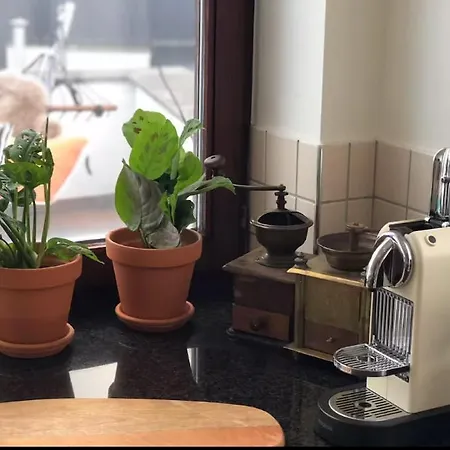Apartmán Cozy & Spacious Duplex With An Amazing Terrace Antverpy