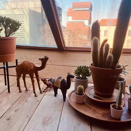Cozy & Spacious Duplex With An Amazing Terrace Apartmán
